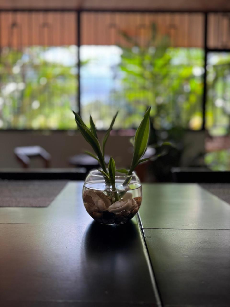 Cerro Chato'S House ラ・フォルトゥナ エクステリア 写真
